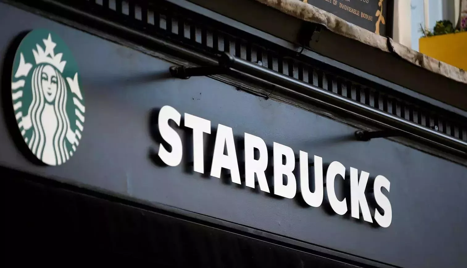 Starbucks Sees Impressive 15% Membership Growth in US to Rewards System